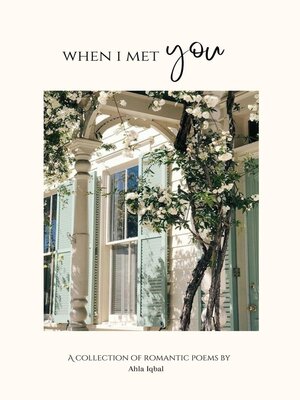 cover image of When I Met You